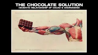 Cacao & curious testosterone expression implications