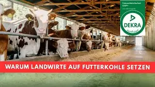 Warum Landwirte auf Futterkohle setzen
