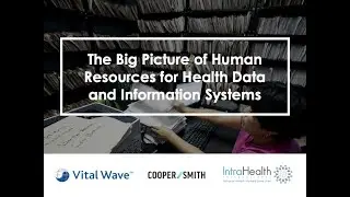 The Big Picture of Human Resources for Health Data and Information Systems