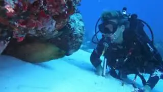 Getting Ready For Diving | Pluto Dive