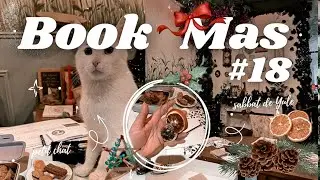 🎄BOOKMAS #18 : des chats et sabbat de Yule 🧹