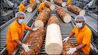 Inside the World&rsquo;s Most Advanced Cassava Processing Factory (Full Process)
