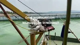 Sludge Dewatering Machine For Dehydration & Recovery Of Blue-Green Algae In Lakes - Dewatering Screw