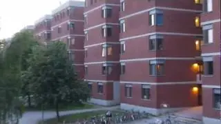 Lappis scream may 31st 2011