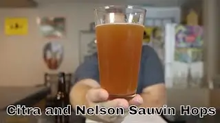 Golden Promise Citra and Nelson Sauvin All Grain Homberew Tasting 2