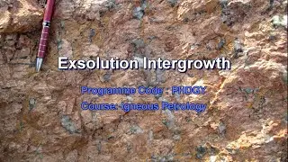 Exsolution Intergrowth