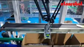 salt case packing line with delta robots