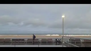 dog walking himself with leash in mouth