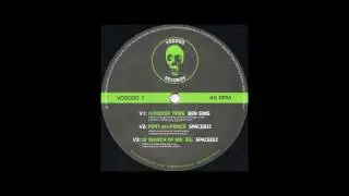 SpaceDJz - Port Au Prince (Jamie Bissmire Remix) [VOODOO 1] (2001)