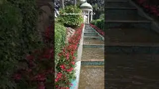Things to do in Nice with Costs