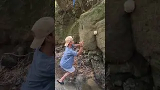 I wonder what that is😲 #nature #shortviral