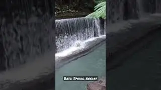 Enjoying 