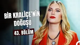 Bir 