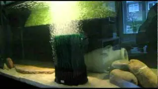 Schildpadden aquarium 1200 liter