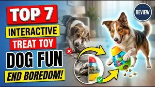 Top 7 Best Interactive Dog Toy Treat Dispensing Review (Unexpected) Keep Dogs Engaged