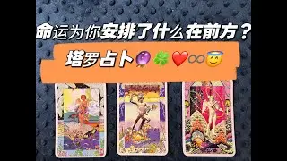 命运为你安排了什么在前方？塔罗占卜💗🍀🔮∞