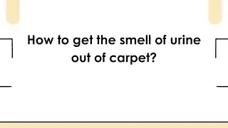 How to get the smell of urine out of carpet?