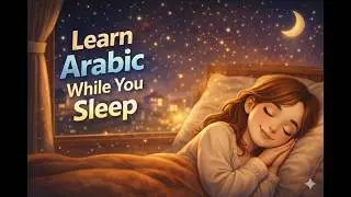 Learn Arabic Words | Daily Phrases for Fluent Speaking | English - Arabic