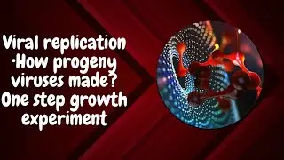 Viral replication&bull; How progeny viruses are made?One step growth experiment. #virology #biochemistry