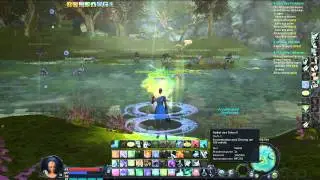 Aion Kleriker / Cleric / Healer lvl 51 Skills