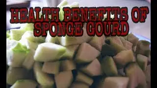 Health Benefits of Sponge Gourd | New Recipe of Sponge Gourd Coming Soon