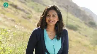 T-Travel: How the rains transformed Oman