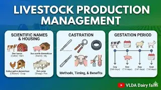 Vldd LPM class || scientific name of animal houses || gestration period of domestic animals #vlda  