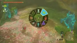 Endura Carrot x3, Satori Mountain | The Legend of Zelda: Tears of the Kingdom