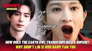 How Does the Earth Owl Transform into a Human? |Love on the Turquoise Land