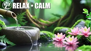 Relaxing Piano & Water Sounds | Deep Spa Music for Calmness & Stress Relief