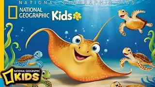 National Geographic Kids: The Flat Friend of the Sea: A Stingray's Story! | national geographic kids