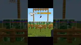 Minecraft Secret F3 Command Moment 💀