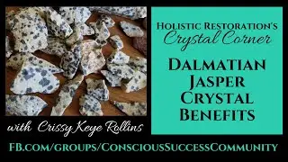 Dalmatian Jasper Crystal Benefits - Emotional Harmony+Fidelity {Holistic Restoration Crystal Corner}