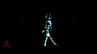 UV Aerial Acrobatics - Wild Goose Management