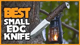 Top 5 Best Small EDC Knife Review in 2023 | Top 5 Cool Small Pocket Knife | Best Small EDC Knife