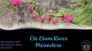 #11 '24 Cle Elum River Meanders