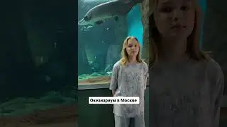 Москвариум на ВДНХ &ndash; одна из главных достопримечательностей&nbsp;Москвы&nbsp; #вднх  #инстаграм #москва