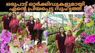 How to Grow Orchids || 2 Fertilizer to Get More Blooms in  Orchids || Haseena Home Garden
