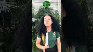 2 P&oacute;s gradua&ccedil;&atilde;o STORY