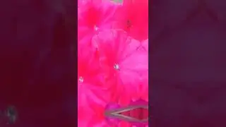 😍DIY💕#Indiashortsvideo#YouTubeshortsvideo#viral🔥