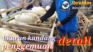 Ukuran kandang komplit dan detai  Peternakan kambing Ibrahim Dadong awok Banyuwangi