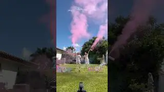 Extinguisher and smoke bombs gender reveal.💕🎉 #genderrevealideas #genderreveal