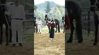 Si te gustan los caballos Frisones, este evento avalado por la KFPS es para ti, tu familia y amigos!