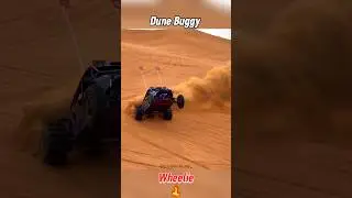 Dune Buggy Wheelie 🚀