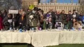 'Dogs dinner' anti-Brexit protest at UK parliament