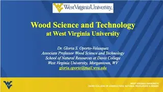 Wood Science and Technology at WVU