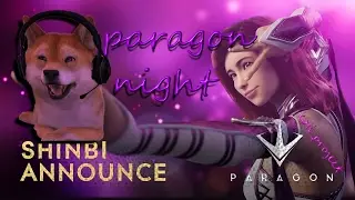 Paragon Night + New Hero: Shinbi - kotiproject PC,PS4