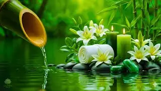 Relaxing Music for Deep Sleep 🌿 Stop Overthinking and Find Inner Calm