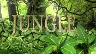 Jungle Test- Video Copilot Tutorial