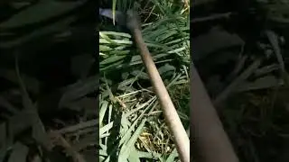 como ro&ccedil;ar mato alto